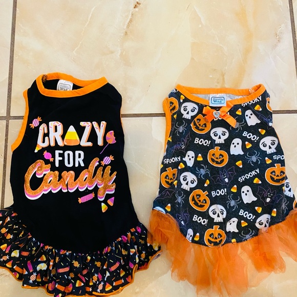 Pet dog Halloween costumes - Picture 1 of 4